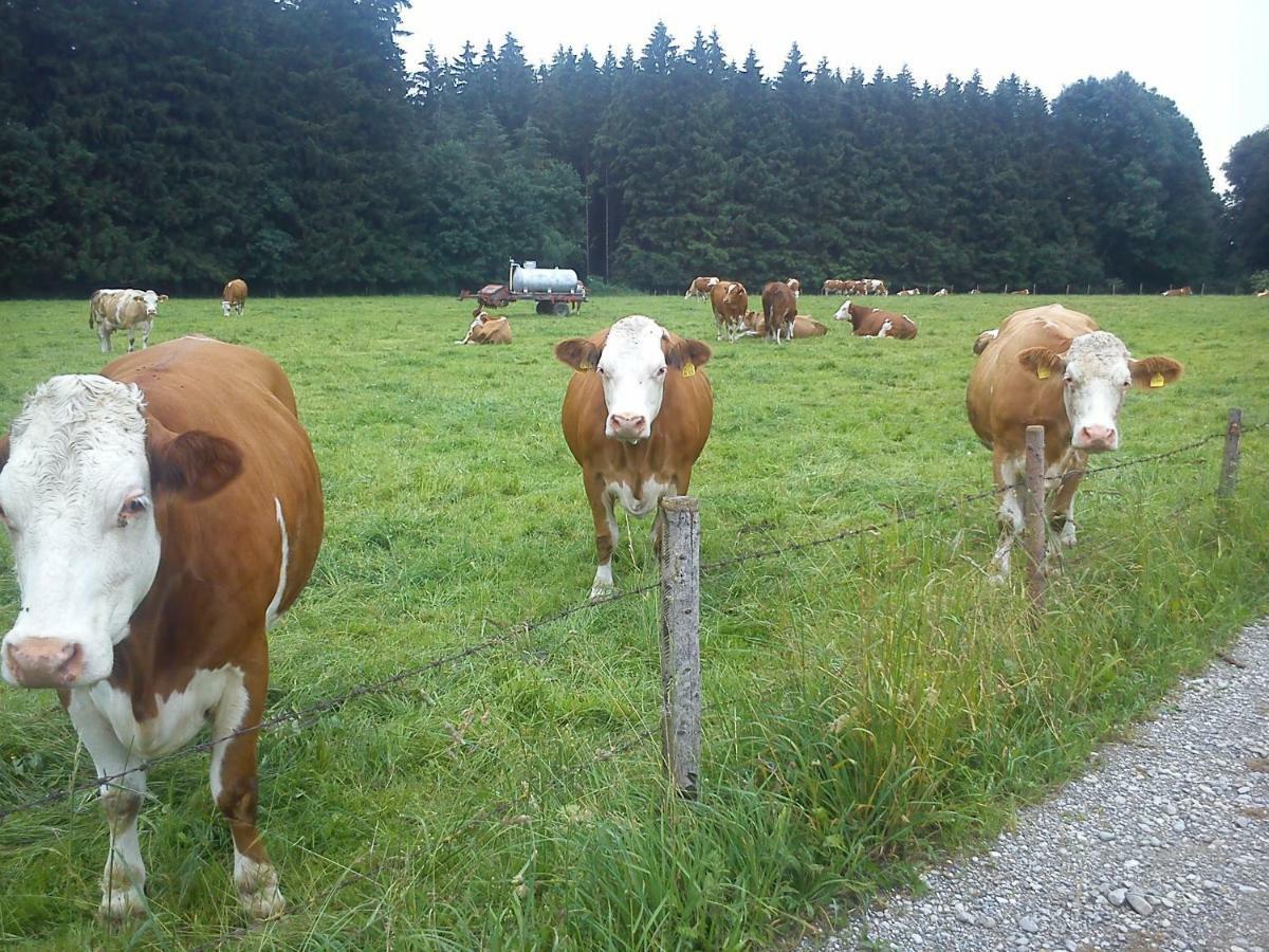 Ferienwohnung Auf Dem Lechsberg Fuchstal Eksteriør bilde